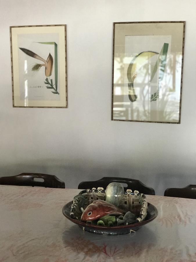 Casa Amor Do Mar Búzios Eksteriør bilde